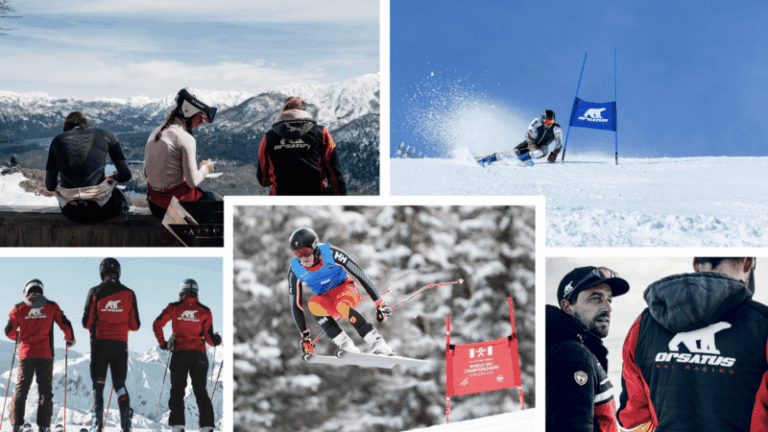 Focus sur… Orsatus